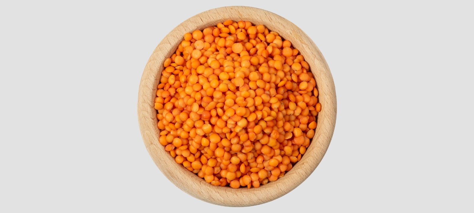 Lentil